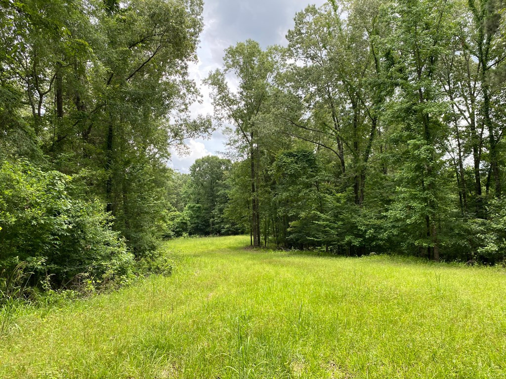 0 Frasier Road Lorman, MS 39096 - Photo 19 of 55 Photo 19