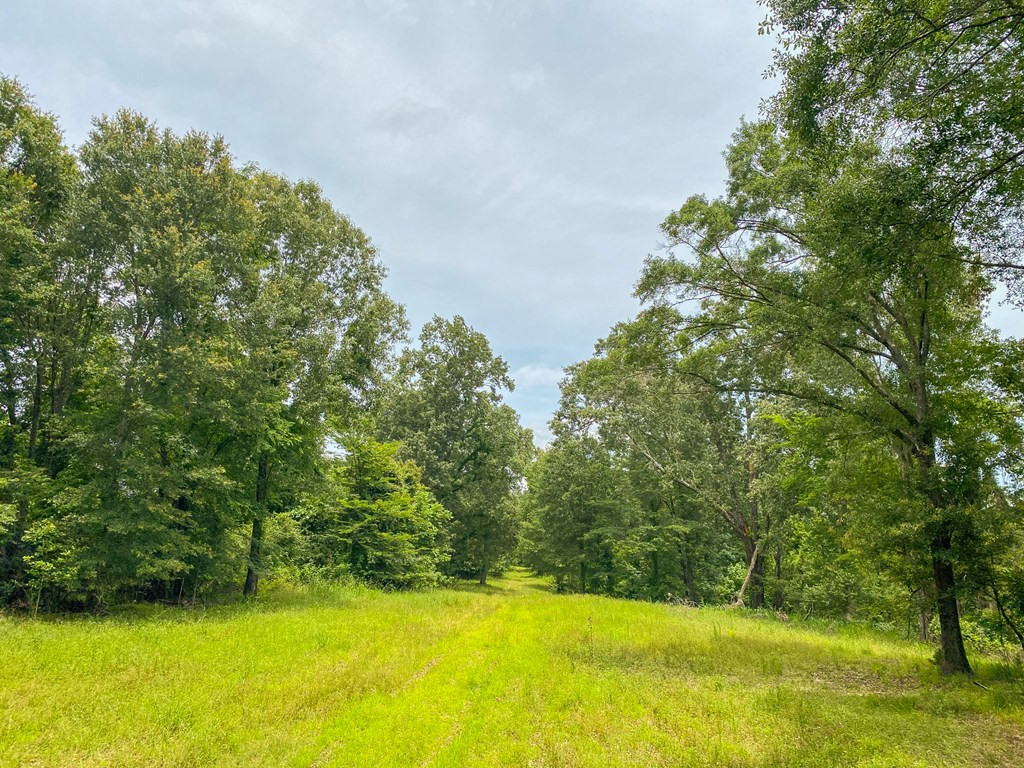 0 Frasier Road Lorman, MS 39096 - Photo 26 of 55 Photo 26