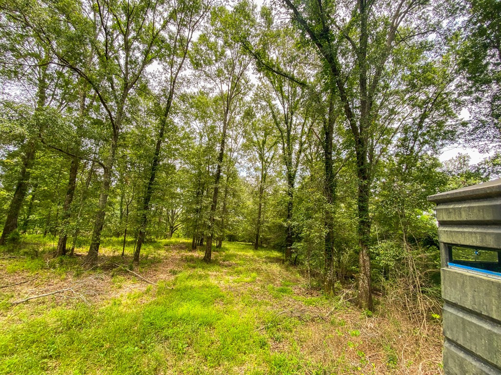 0 Frasier Road Lorman, MS 39096 - Photo 27 of 55 Photo 27