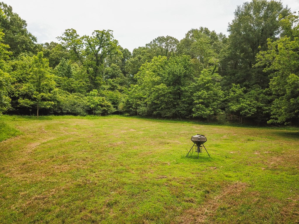0 Frasier Road Lorman, MS 39096 - Photo 51 of 55 Photo 51