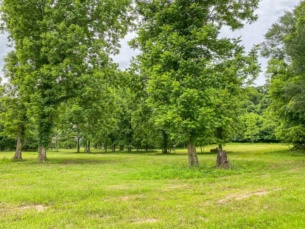 0 Frasier Road Lorman, MS 39096 - Photo 10 of 55 Photo 10
