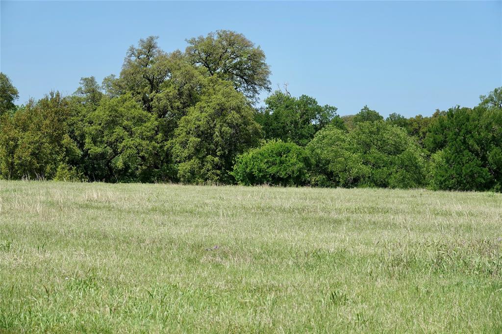 588 County Road 430 Mullin, TX 76864 - Photo 26 of 40 a view of a field of grass and trees