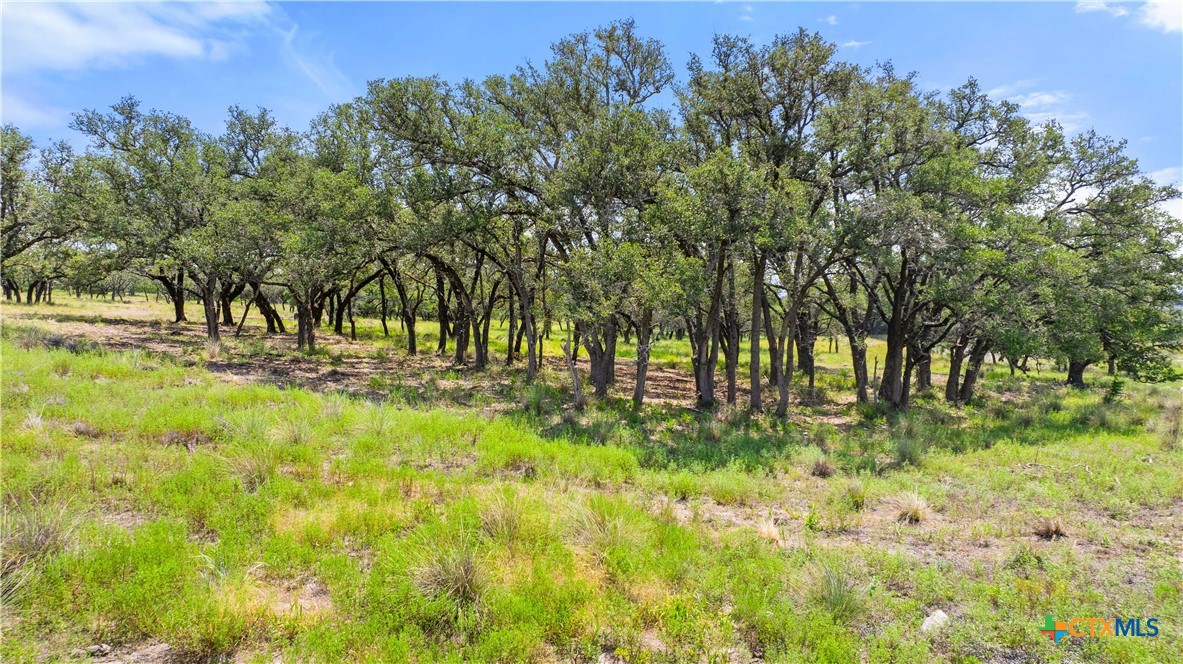 280 Brecken Ranch Road Stonewall, TX 78671 - Photo 1 of 1 Gallery Image 1
