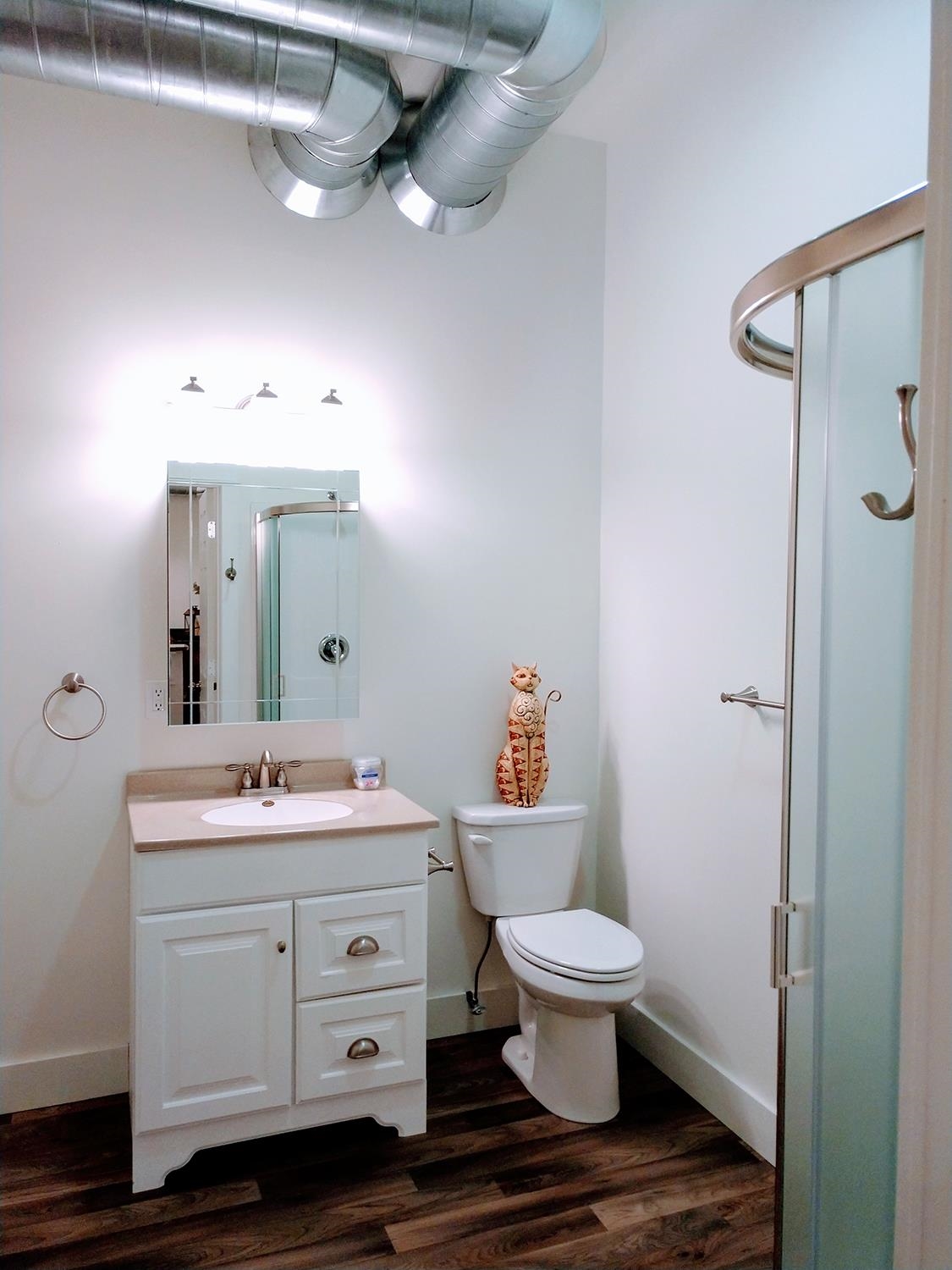 102 East Market Street Mount Carroll, IL 61053 - Photo 33 of 48 a bathroom with a toilet sink and mirror