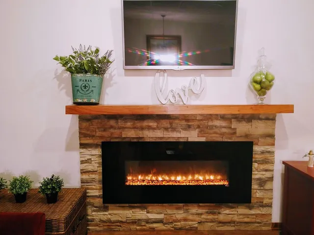 a close view of fireplace with a potted plant