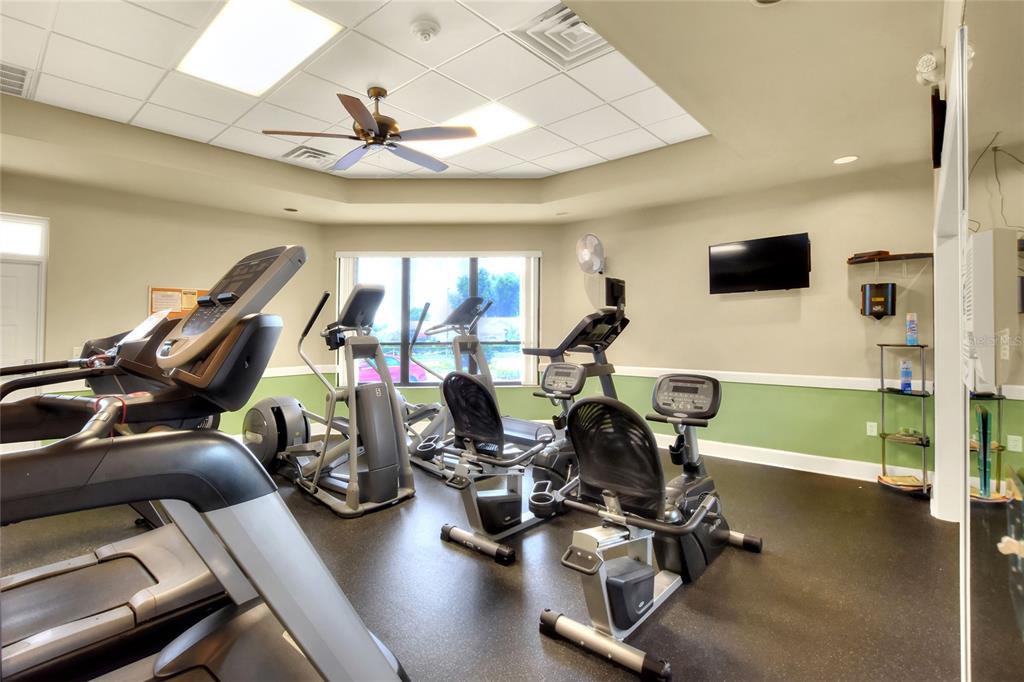 669 Eagle Run Lakeland, FL 33809 - Photo 47 of 69 a view of a room with gym equipment