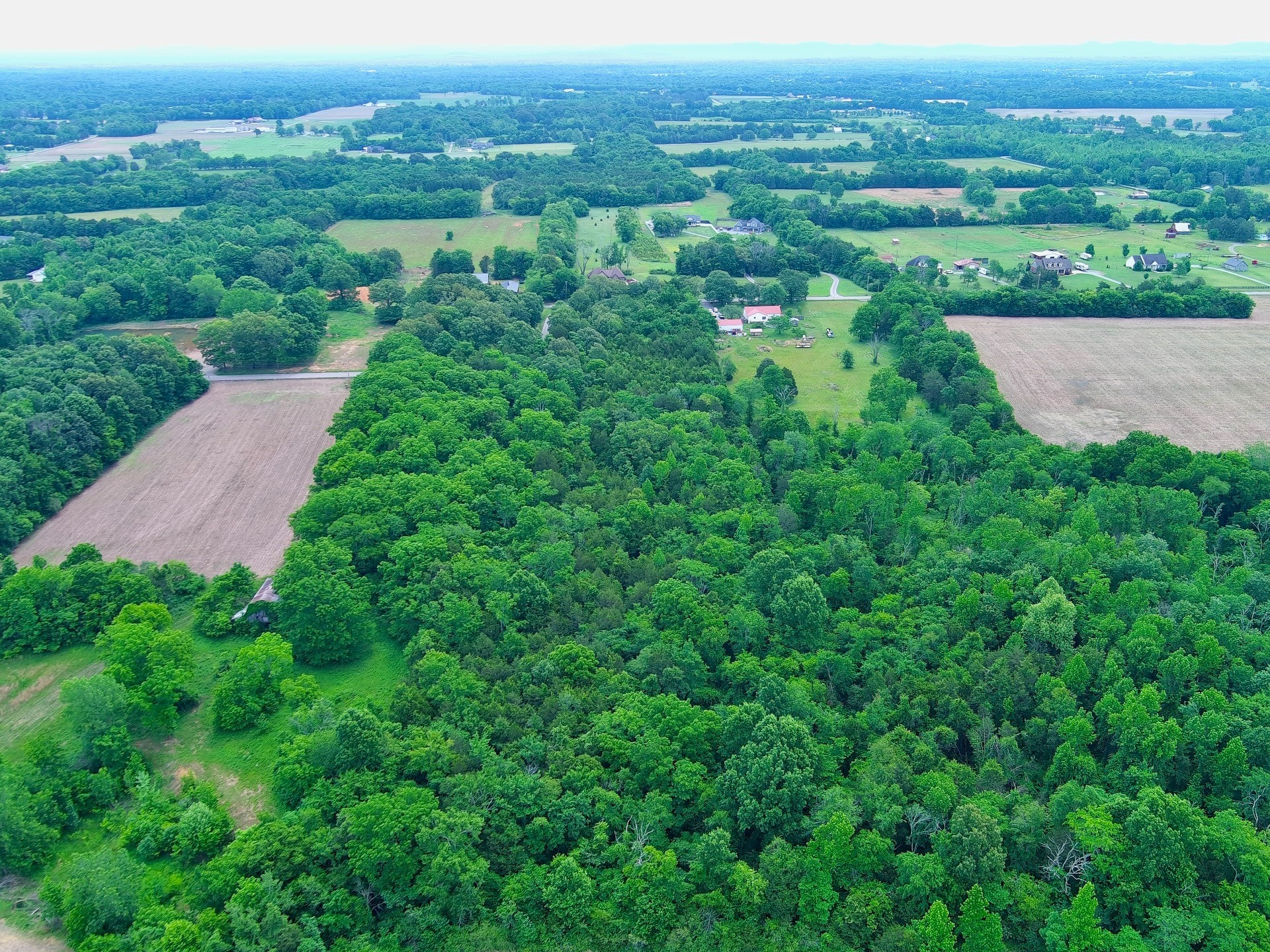 0 Newtown Road Rockvale, TN 37153 - Photo 11 of 13 an aerial view of green landscape with trees houses and mountain view