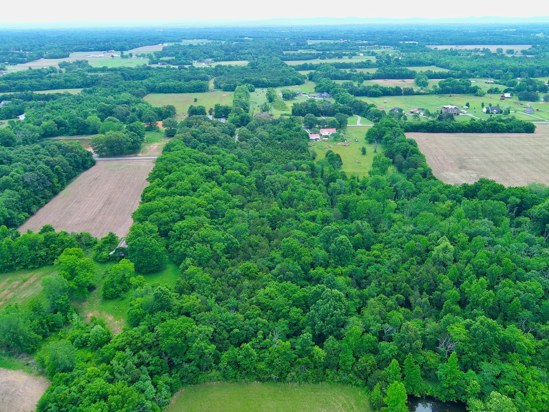0 Newtown Road Rockvale, TN 37153 - Photo 12 of 13 an aerial view of green landscape with trees houses and mountain view
