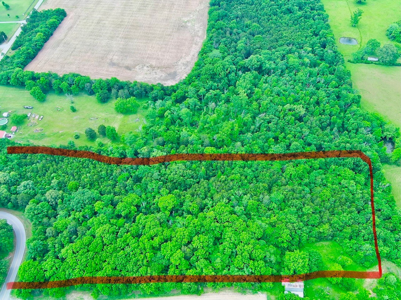 0 Newtown Road Rockvale, TN 37153 - Photo 9 of 13 a green field with lots of green space