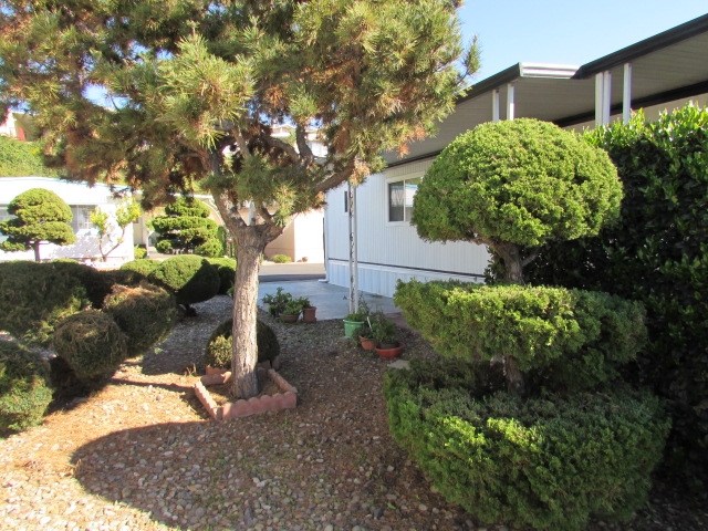 1815 Sweetwater Road, Unit 82 Spring Valley, CA 91977 - Photo 17 of 22 Gallery Image 17