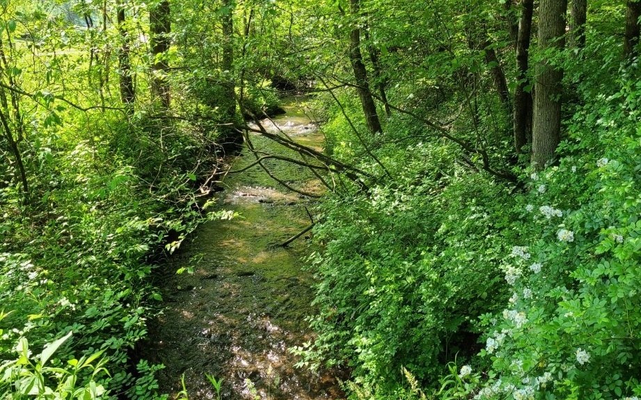 12 Trail Road Murphy, NC 28906 - Photo 1 of 1 Main View