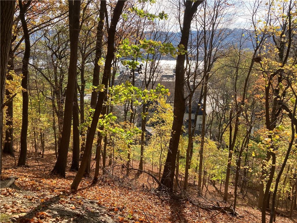 0 Beaver Road Sewickley, PA 15143 - Photo 3 of 30