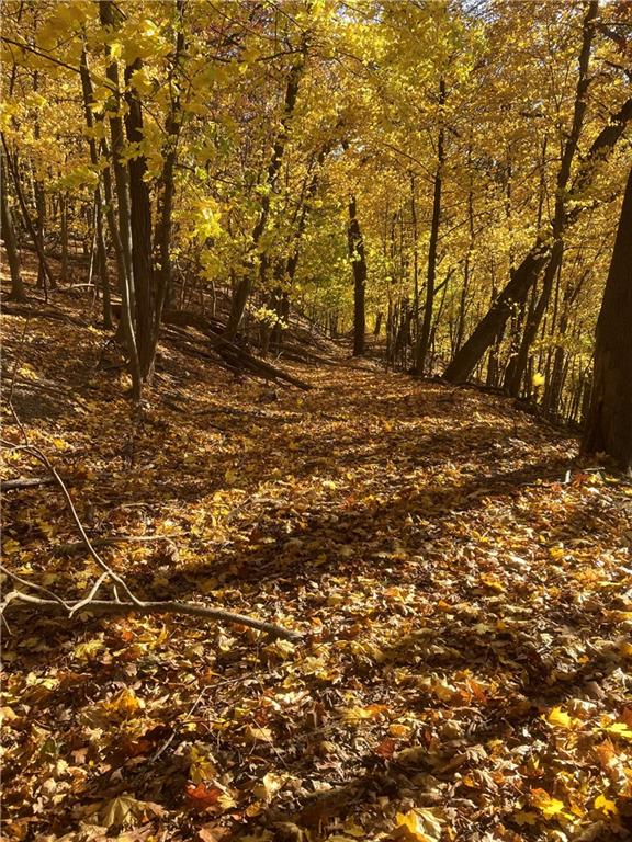 0 Beaver Road Sewickley, PA 15143 - Photo 5 of 30