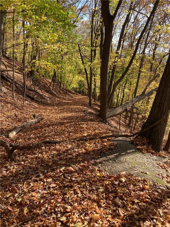 0 Beaver Road Sewickley, PA 15143 - Photo 7 of 30