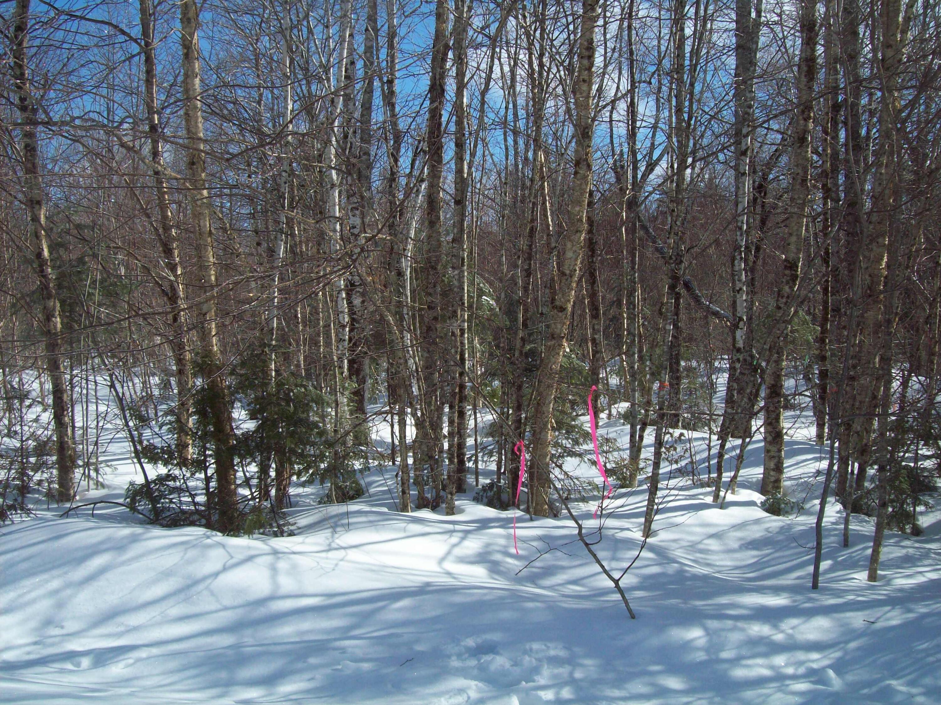 T7 R3 Nbpp Me 04487 Drive Springfield, ME 04487 - Photo 2 of 8 100_3353