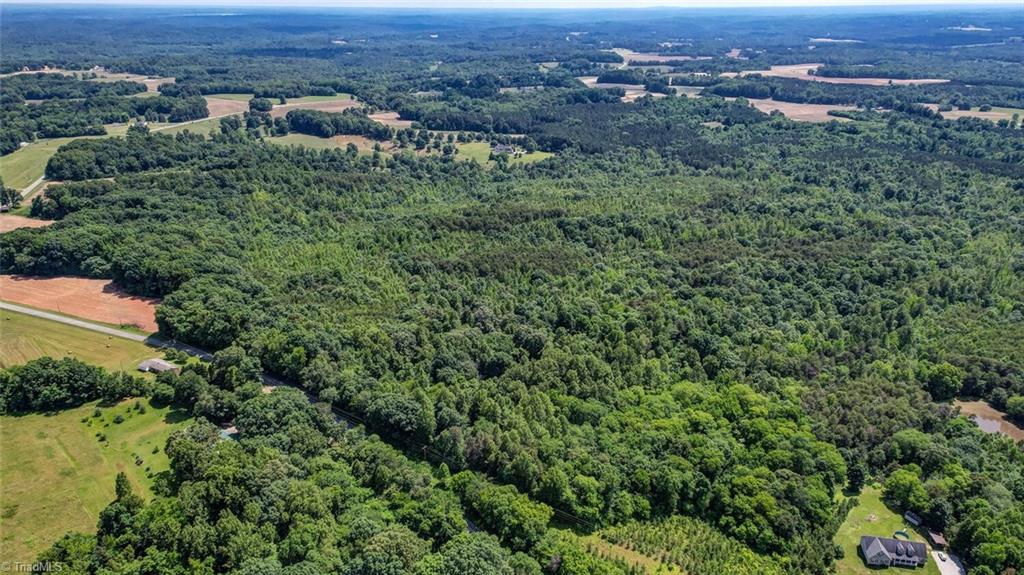 0 Blanch Road Blanch, NC 27212 - Photo 2 of 8