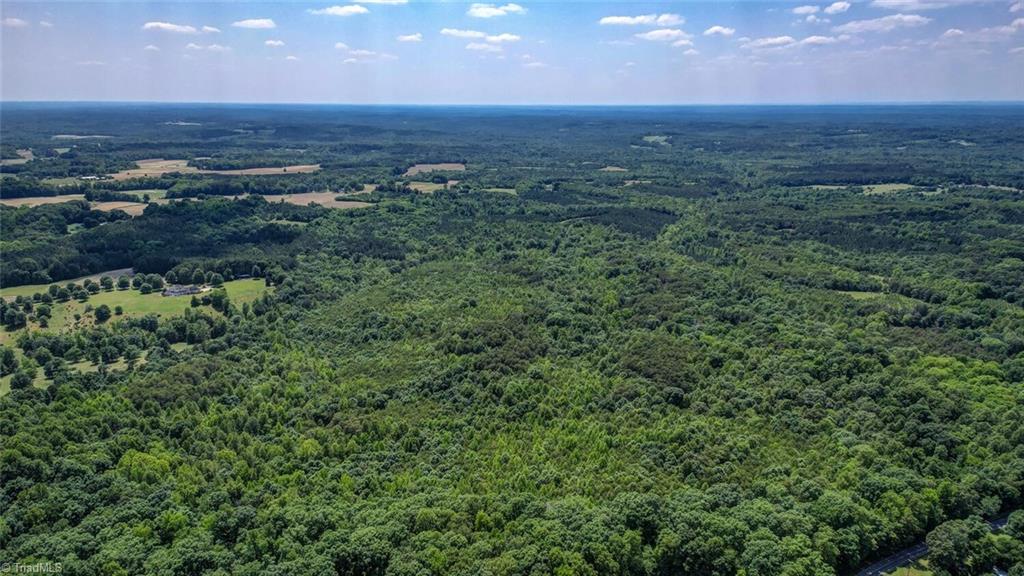 0 Blanch Road Blanch, NC 27212 - Photo 3 of 8