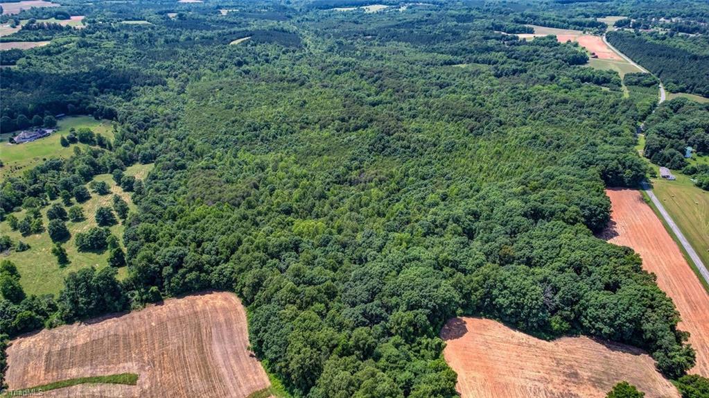 0 Blanch Road Blanch, NC 27212 - Photo 4 of 8