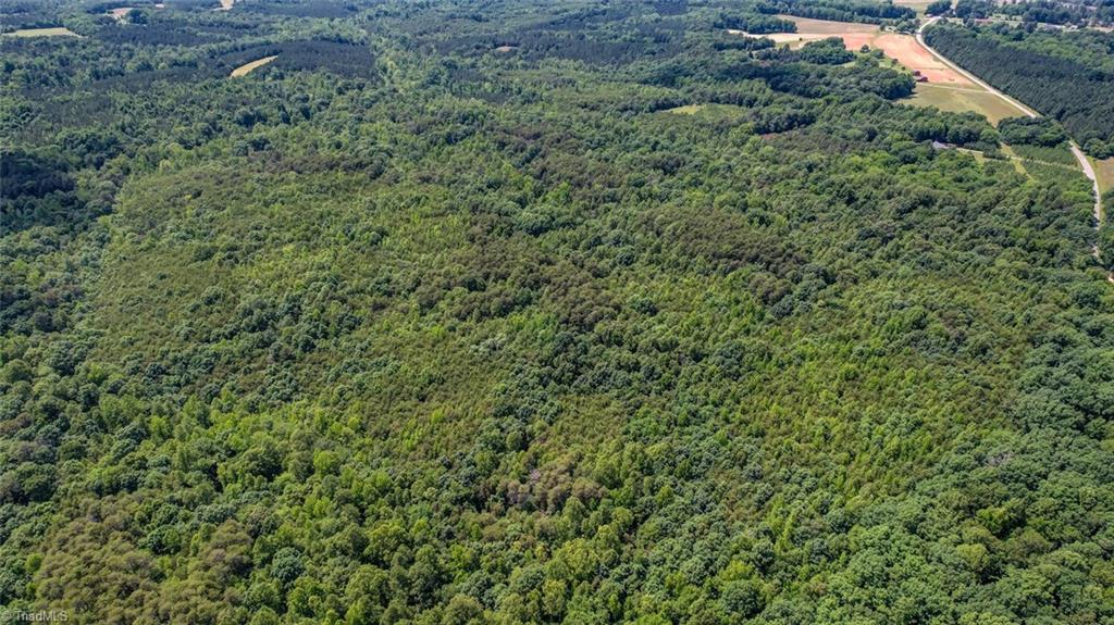 0 Blanch Road Blanch, NC 27212 - Photo 5 of 8