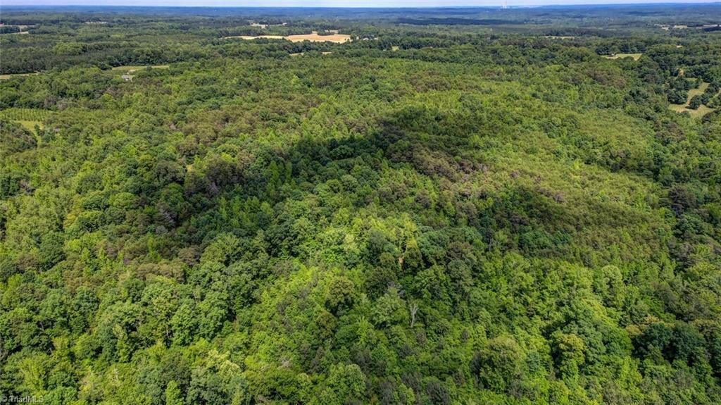 0 Blanch Road Blanch, NC 27212 - Photo 6 of 8