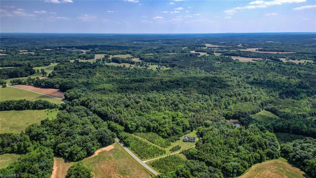 0 Blanch Road Blanch, NC 27212 - Photo 7 of 8