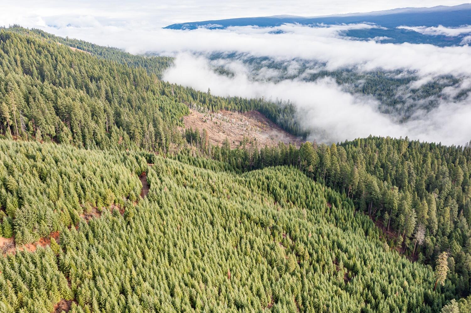 River Road Trail, OR 97541 - Photo 11 of 20 DJI_0946HDR27