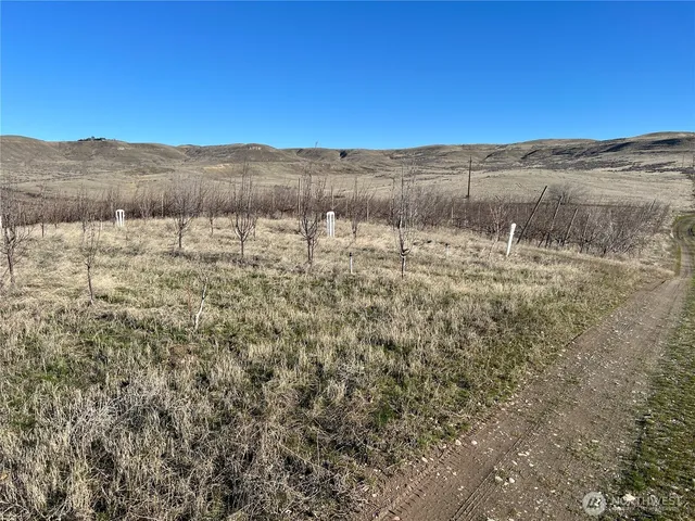 $999,999 | 3231 Lombard Loop Road, Wapato, WA 98951