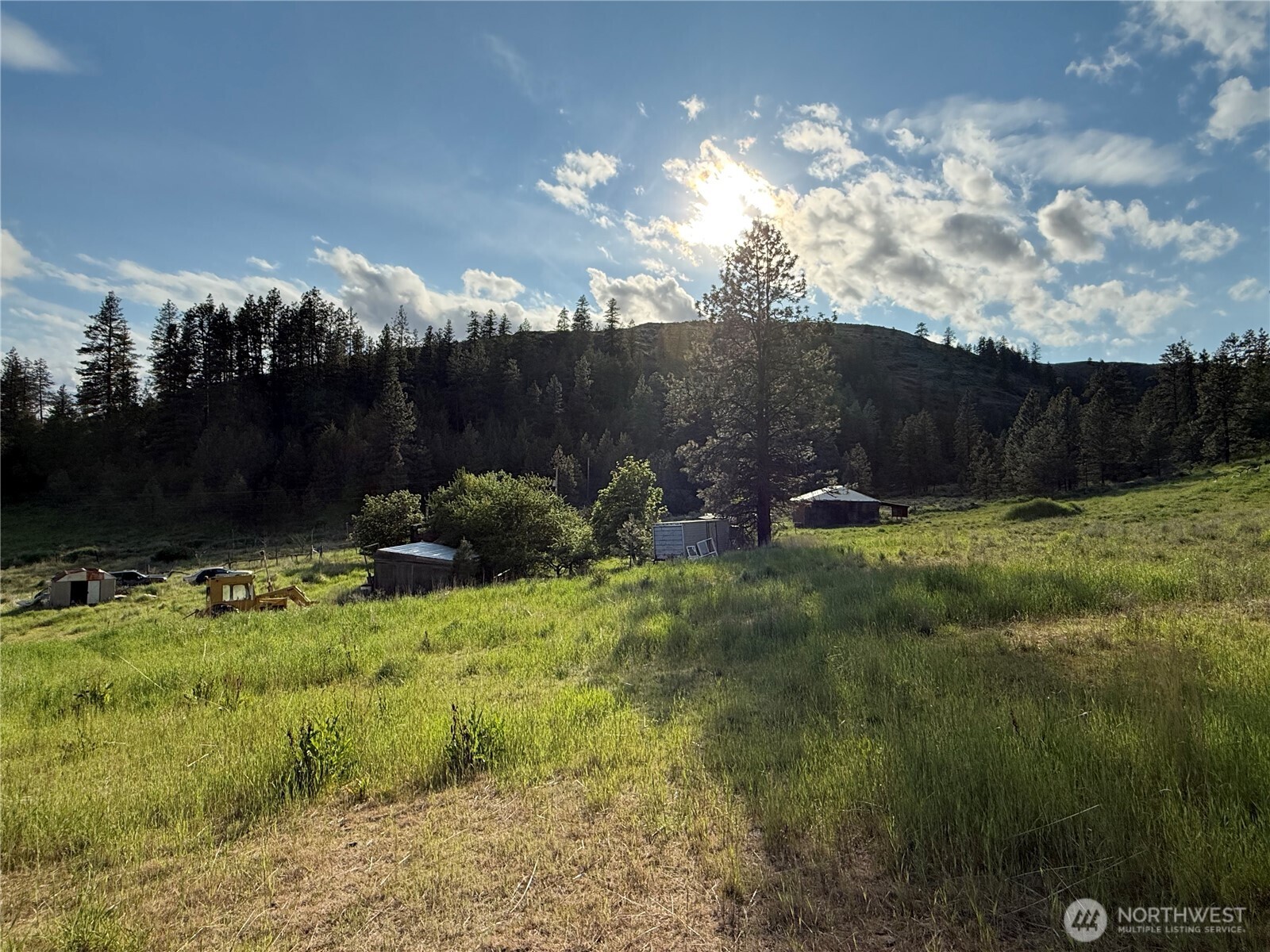 37235 Redwine Canyon Road Creston, WA 99117 - Photo 3 of 23 Gallery Image 3