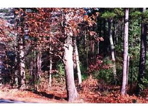21 Cobbetts Pond Road Windham, NH 03087 - Photo 2 of 4