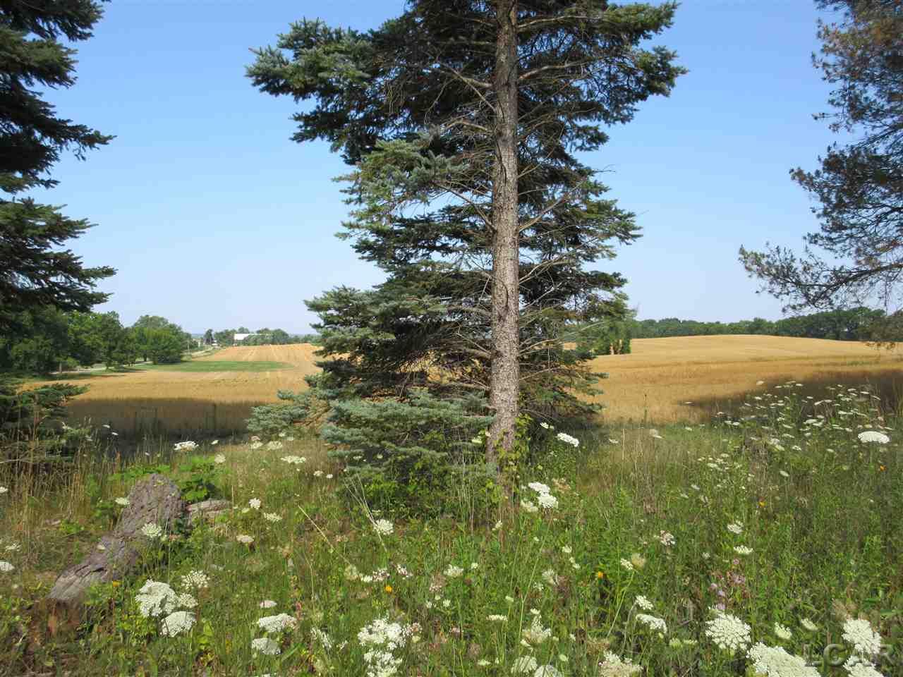4292 Kehoe Road Clinton, MI 49236 - Photo 4 of 44 ACREAGE TO WEST
