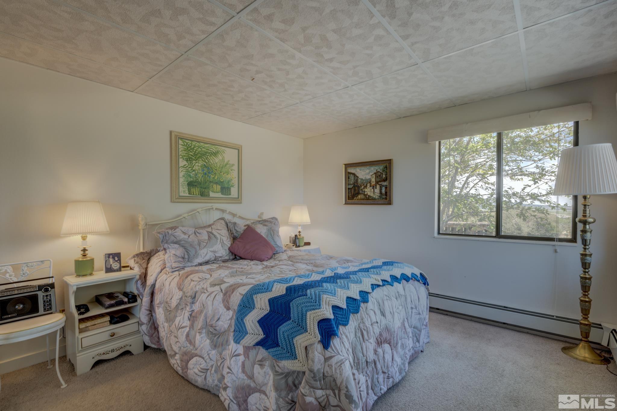 4051 County Line Road Carson City, NV 89703 - Photo 21 of 40 Photo 21