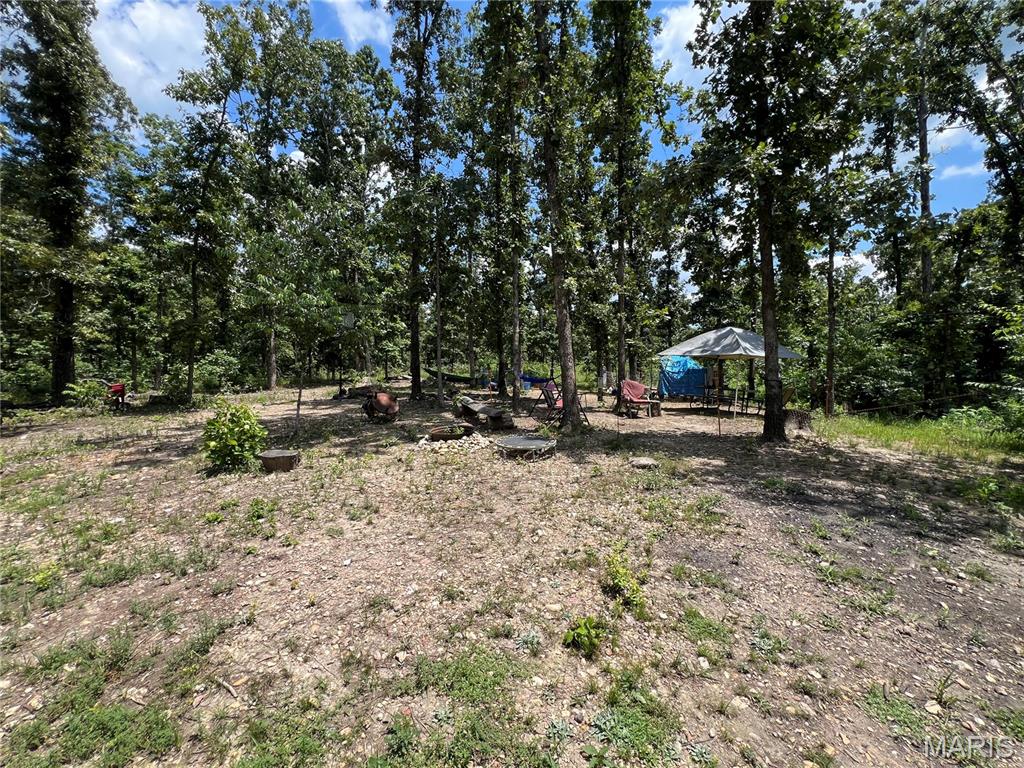 366 Ripley 142E Doniphan, MO 63935 - Photo 4 of 16