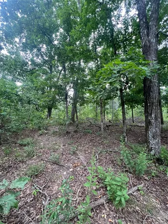 $80,000 | 366 Ripley 142E, Doniphan, MO 63935