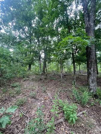 $80,000 | 366 Ripley 142E, Doniphan, MO 63935