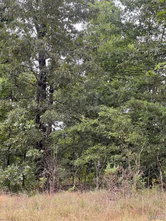$80,000 | 366 Ripley 142E, Doniphan, MO 63935