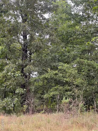 $80,000 | 366 Ripley 142E, Doniphan, MO 63935