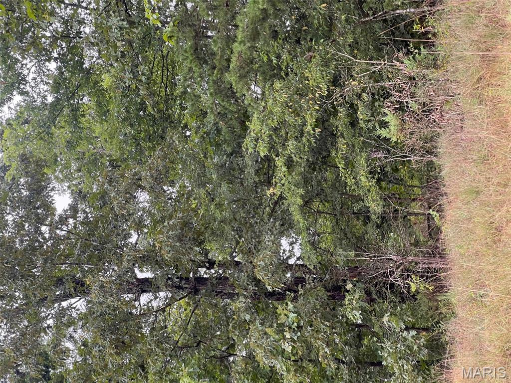 366 Ripley 142E Doniphan, MO 63935 - Photo 6 of 16