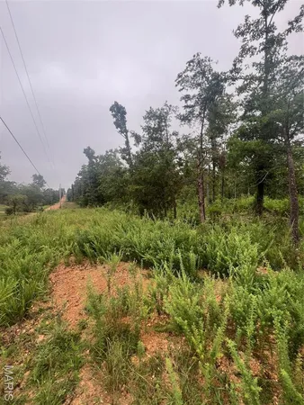 $80,000 | 366 Ripley 142E, Doniphan, MO 63935