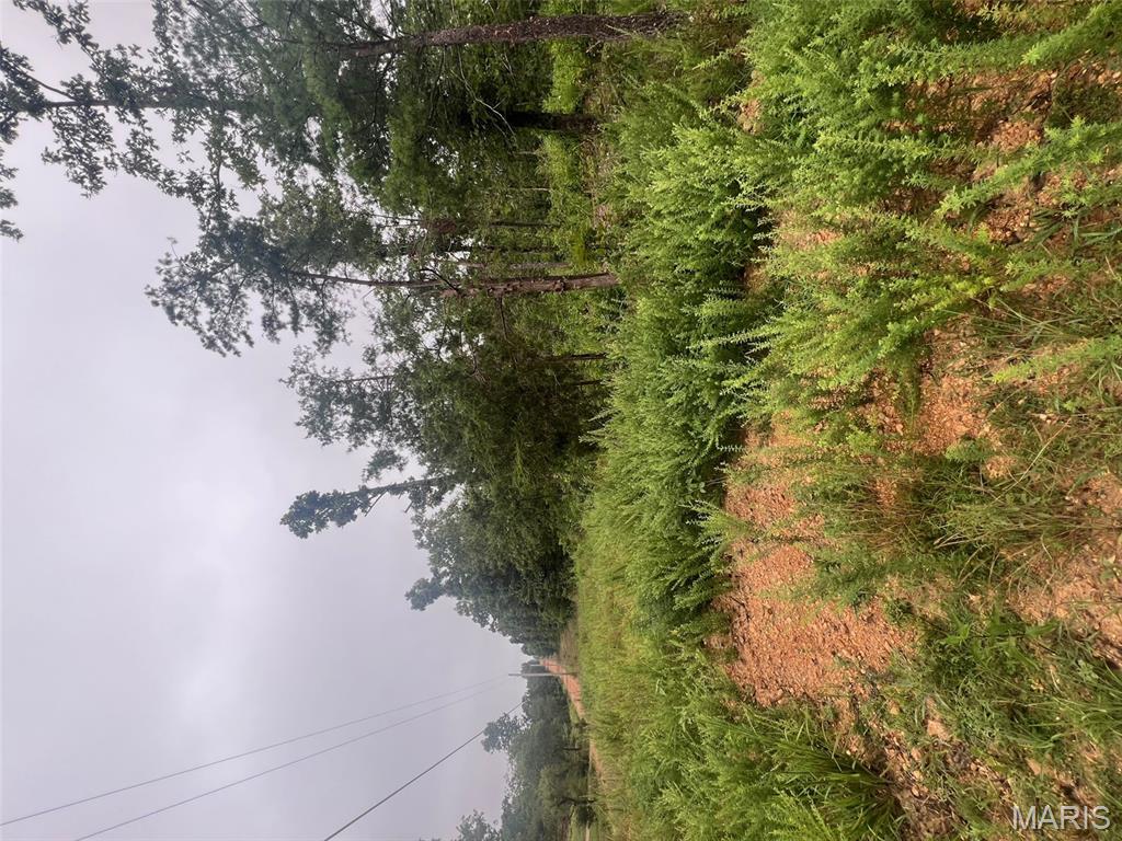 366 Ripley 142E Doniphan, MO 63935 - Photo 7 of 16