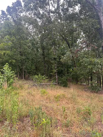$80,000 | 366 Ripley 142E, Doniphan, MO 63935