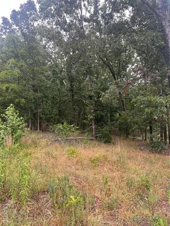 $80,000 | 366 Ripley 142E, Doniphan, MO 63935