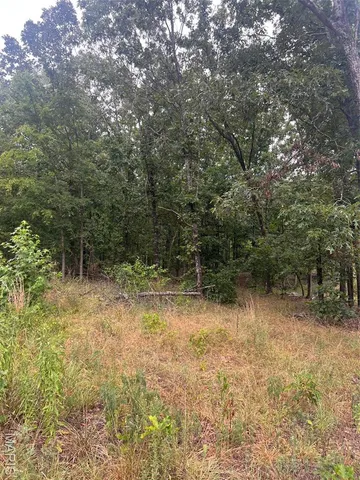 $109,900 | 366 Ripley 142E, Doniphan, MO 63935