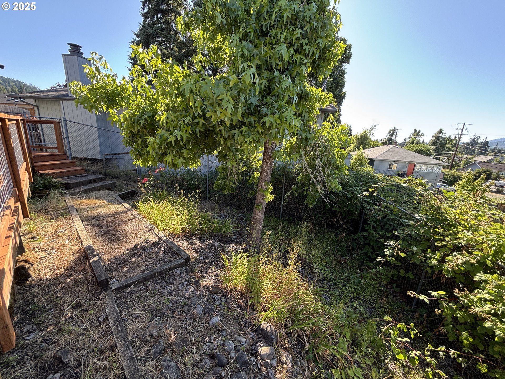 7066 Aster Street Springfield, OR 97478 - Photo 39 of 46 a view of a house with a yard