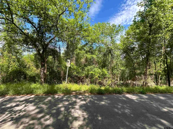 $25,000 | 13904 County Road 1250, Tyler, TX 75709