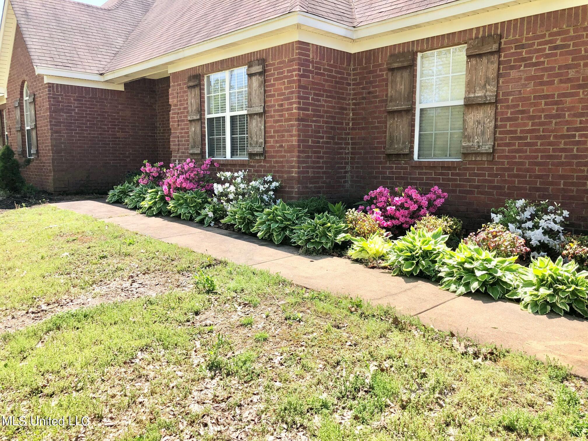 200 Roper Cove Byhalia, MS 38611 - Photo 3 of 21 IMG_9081