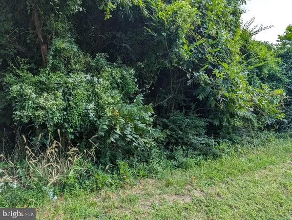 $24,500 | 2685 Bank Road, Nanticoke, MD 21840