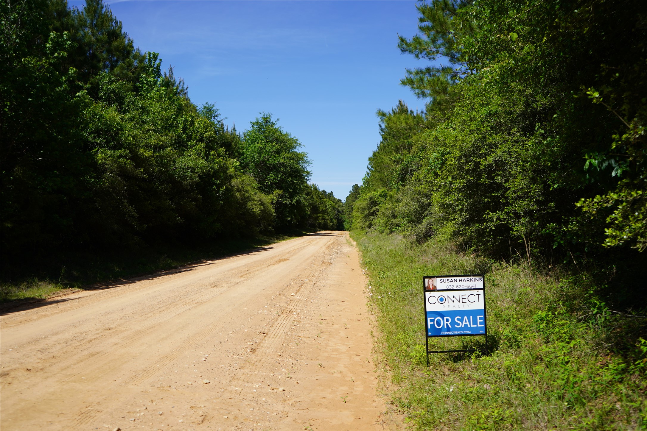 1 East Tbd Schwab Road Livingston, TX 77351 - Photo 2 of 6 Schwab Rd, Acreage on Right