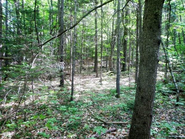 Lot 14 Stanhope Mill Road Lincoln, ME 04457 - Photo 10 of 15 Photo