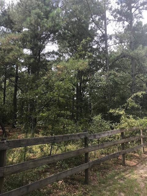 544 Main Drive Aiken, SC 29801 - Photo 2 of 15