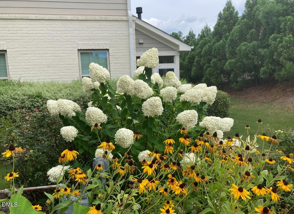 545 Libson Street Durham, NC 27703 - Photo 44 of 53 a front view of a house with lots of flowers